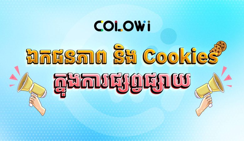 ឯកជនភាព និង Cookies ក្នុងការផ្សព្វផ្សាយ