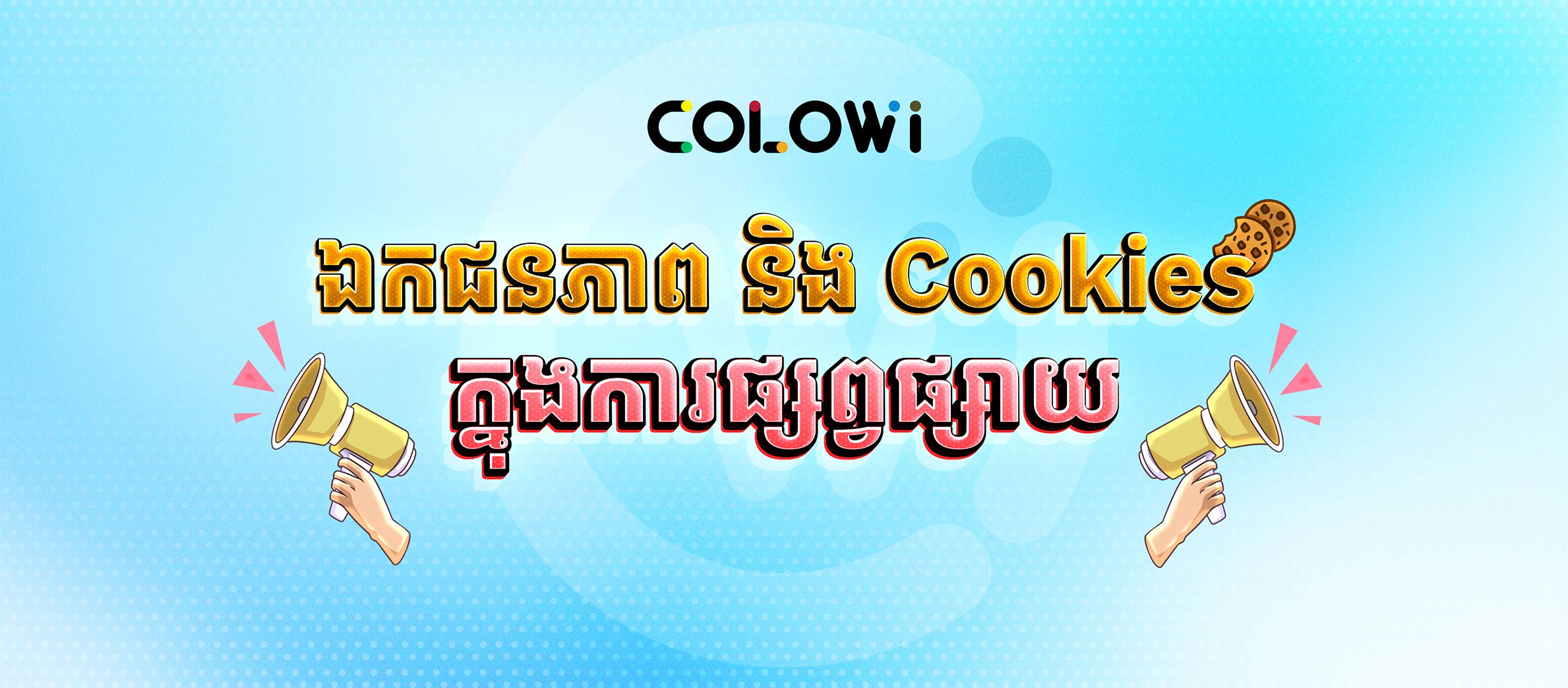 ឯកជនភាព និង Cookies ក្នុងការផ្សព្វផ្សាយ